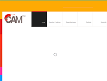 Tablet Screenshot of camcolorantes.com.mx